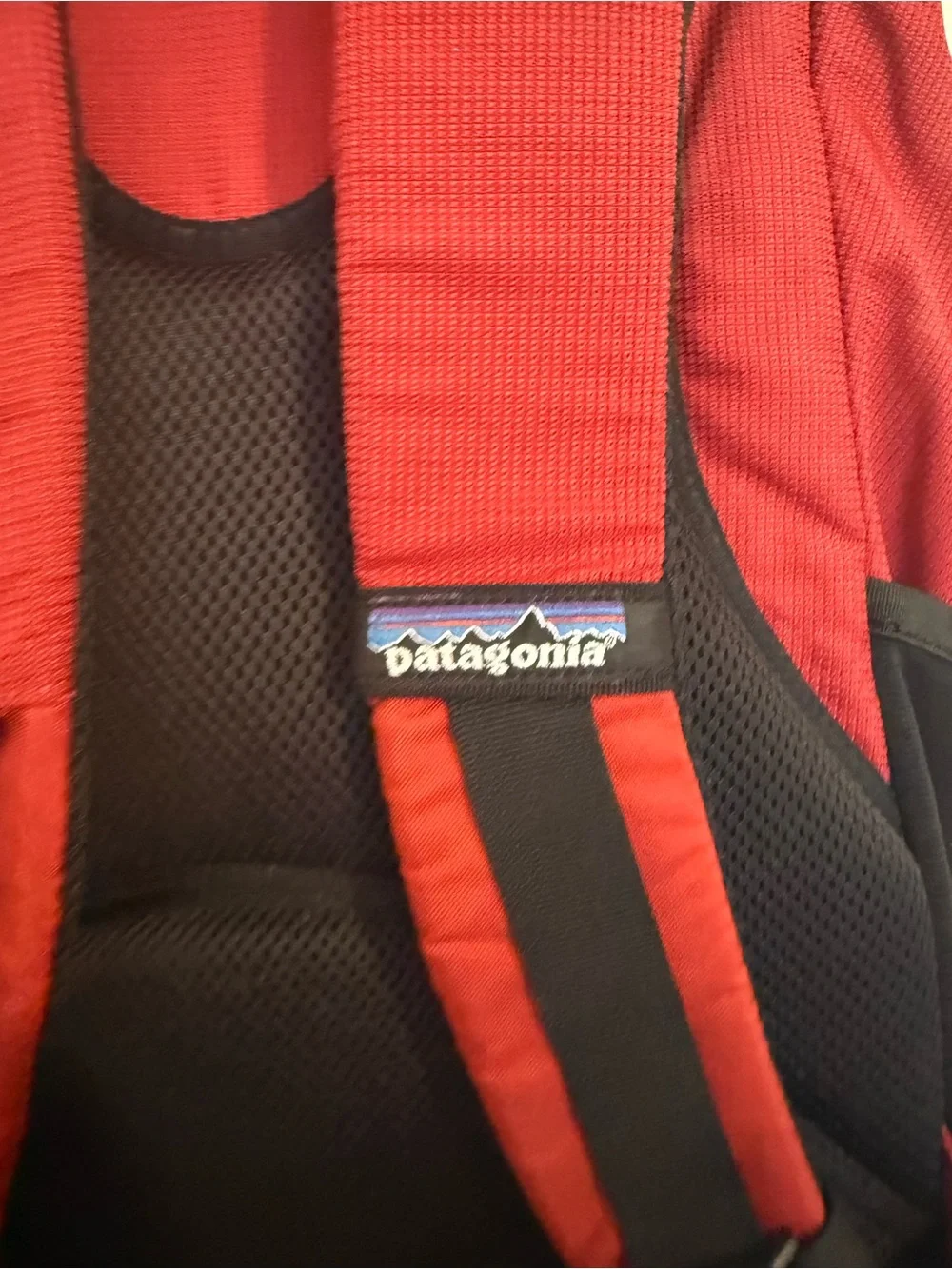 Patagonia Red and Black Everyday Backpack